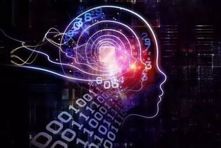 大學(xué)專業(yè)同名不同校,畢業(yè)后到手的學(xué)歷都可能大不同