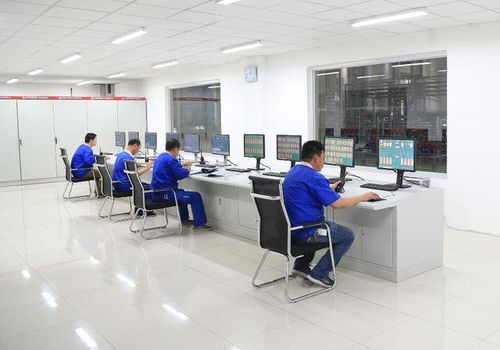 功能食品配料麥芽糖醇 技術發展、市場應用與技術服務全景分析